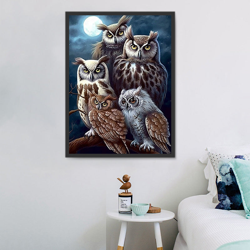be-the-first-to-own-the-newest-chouette-5d-diy-kits-broderie-diamant-diamond-painting-mj9762-fashion_1.jpg