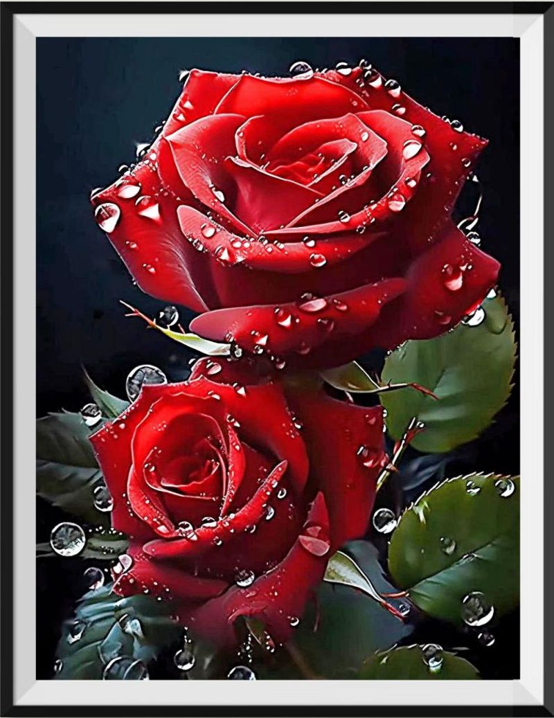 shop-all-the-latest-and-greatest-roses-5d-diy-kits-broderie-diamant-diamond-painting-mj2721-online-sale_0.jpg