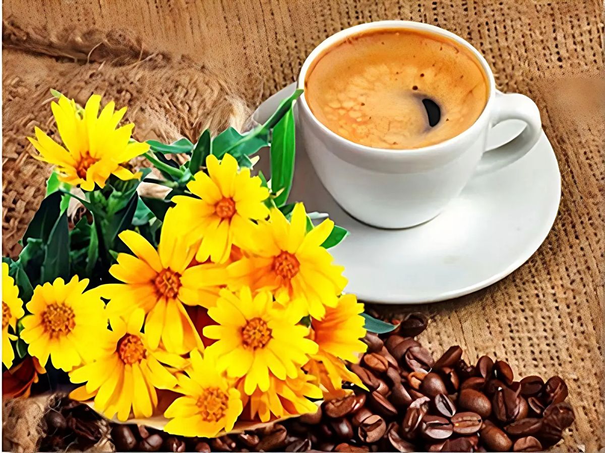 best-cafe-5d-kit-broderie-diamant-diamond-painting-vm20504-sale_3.jpg