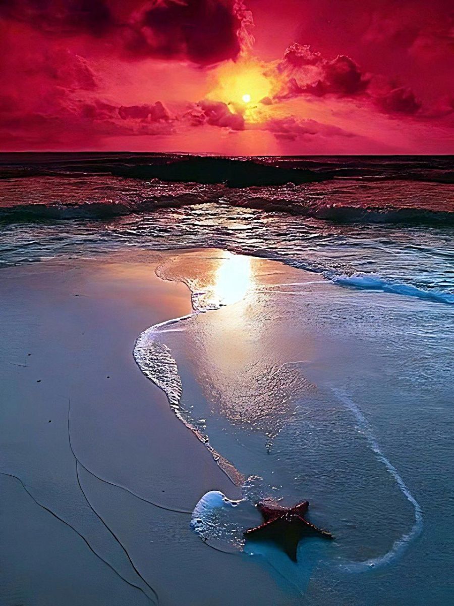 find-your-mer-5d-kit-broderie-diamants-diamond-painting-vm9699-online_3.jpg