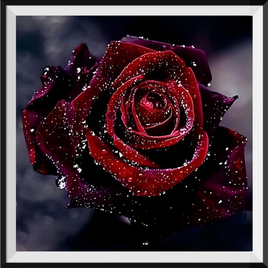 shop-authentic-roses-5d-kit-broderie-diamant-diamond-painting-vm39448-online_0.jpg