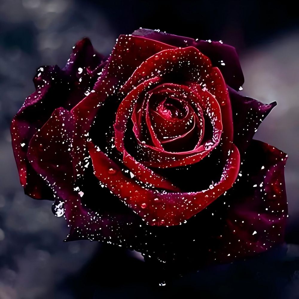 shop-authentic-roses-5d-kit-broderie-diamant-diamond-painting-vm39448-online_2.jpg