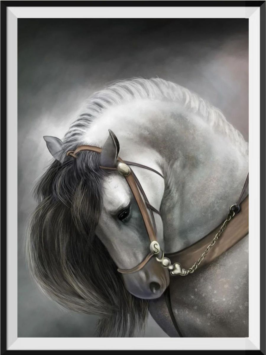 get-your-teams-official-cheval-5d-kit-broderie-diamant-diamond-painting-ss1314553667-online-sale_0.jpg