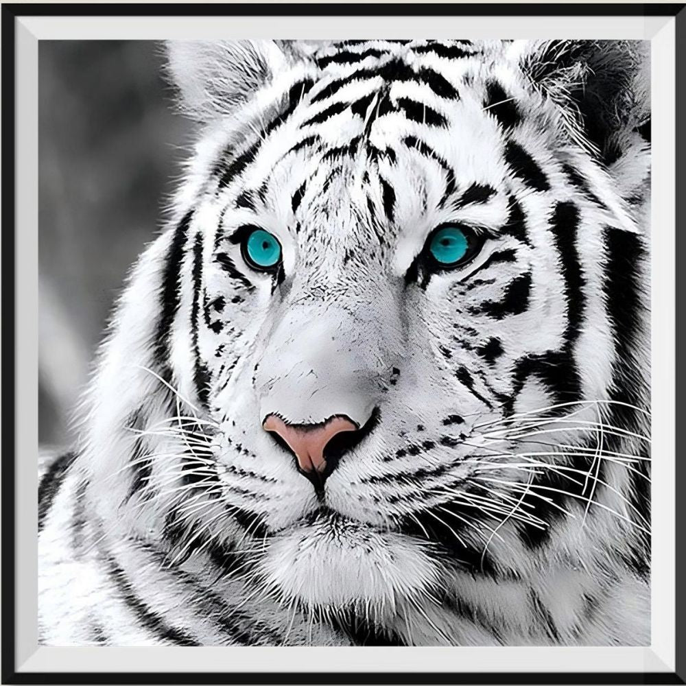 we-are-the-best-place-to-buy-tigre-kit-broderie-diamants-diamond-painting-qb6431-supply_0.jpg