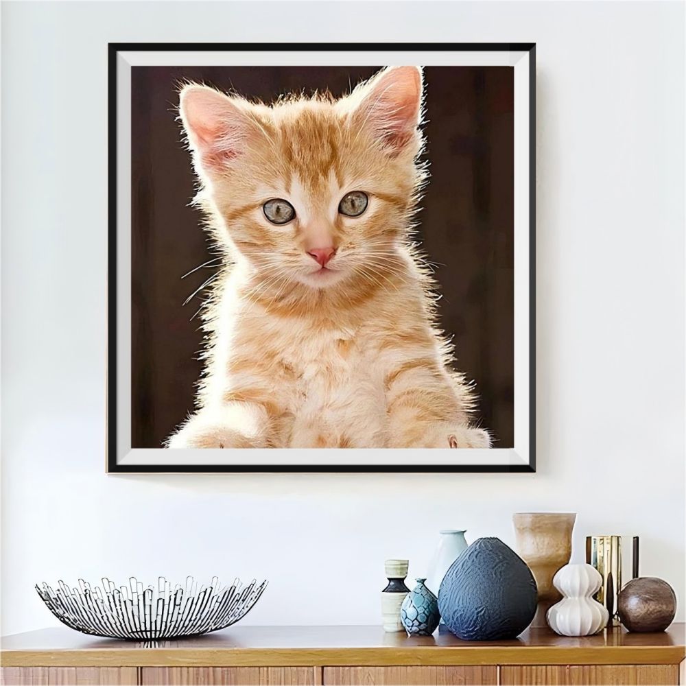 purchase-chat-5d-kit-broderie-diamants-diamond-painting-qb9999-online-now_1.jpg