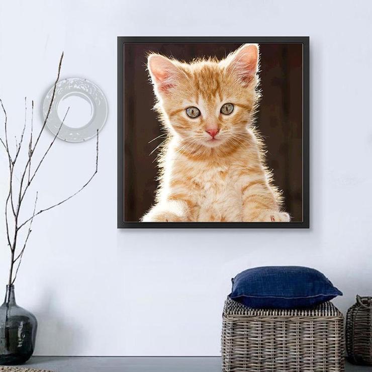 purchase-chat-5d-kit-broderie-diamants-diamond-painting-qb9999-online-now_2.jpg