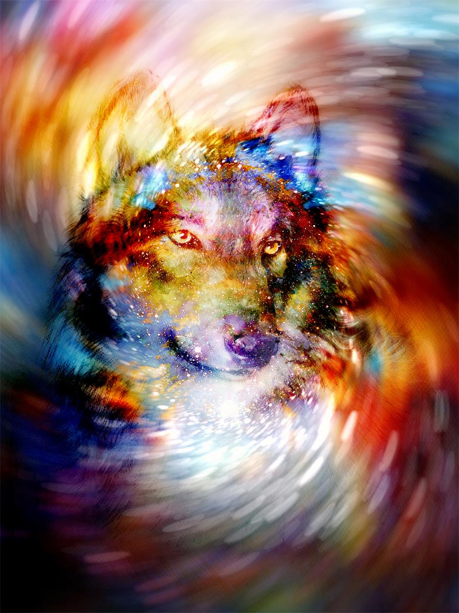 the-one-place-to-find-cheap-loup-5d-diy-kits-broderie-diamant-diamond-painting-ds82540423-fashion_0.jpg
