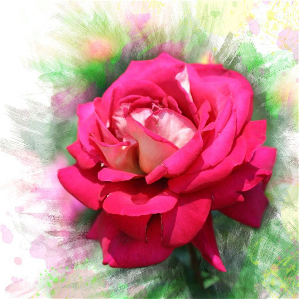 find-the-right-roses-5d-diy-kits-broderie-diamant-diamond-painting-ds26012785-fashion_0.jpg