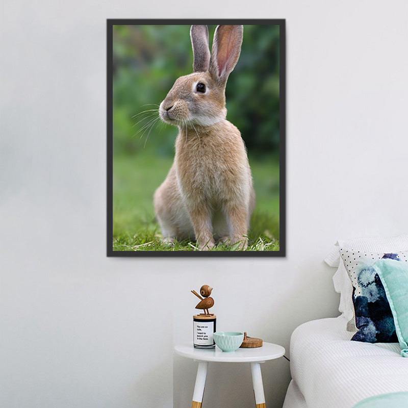 buy-your-favorite-lapin-5d-diy-kits-broderie-diamant-diamond-painting-ds3788791-on-sale_1.jpg