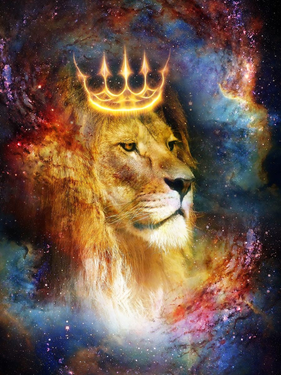 the-official-site-of-lion-5d-diy-kits-broderie-diamant-diamond-painting-ds145936700-on-sale_0.jpg