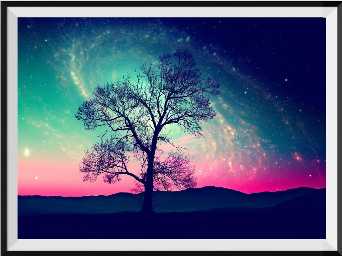 the-one-place-to-buy-arbre-5d-diy-kits-broderie-diamant-diamond-painting-ds57524764-supply_0.jpg