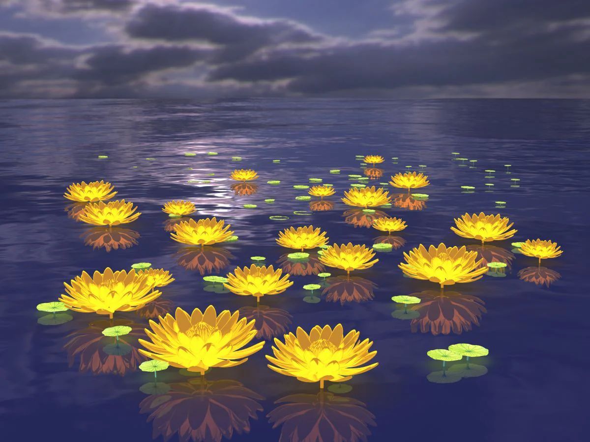 get-the-latest-lotus-5d-diy-kits-broderie-diamant-diamond-painting-ds48893976-online_3.jpg