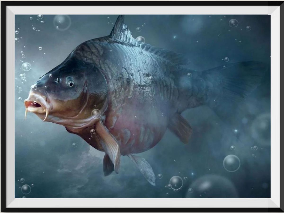best-online-poisson-5d-diy-kits-broderie-diamant-diamond-painting-px3846432-supply_0.jpg