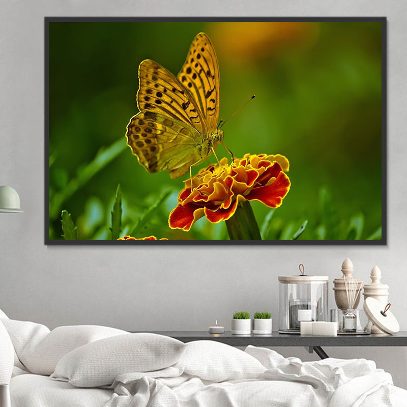 get-a-real-discount-of-papillon-5d-diy-kits-broderie-diamant-diamond-painting-px1829404-supply_1.jpg