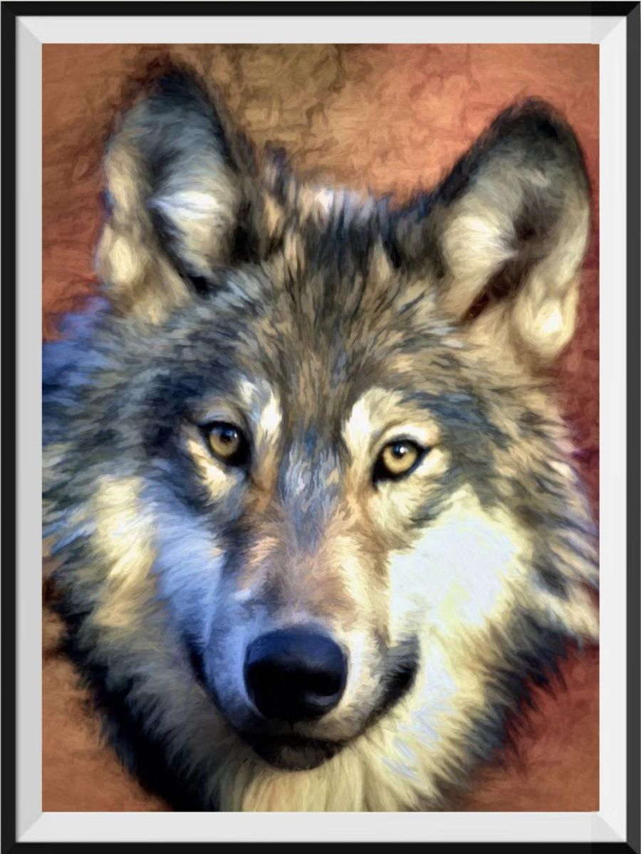 get-your-favorite-loup-5d-diy-kits-broderie-diamant-diamond-painting-px4795350-on-sale_0.jpg