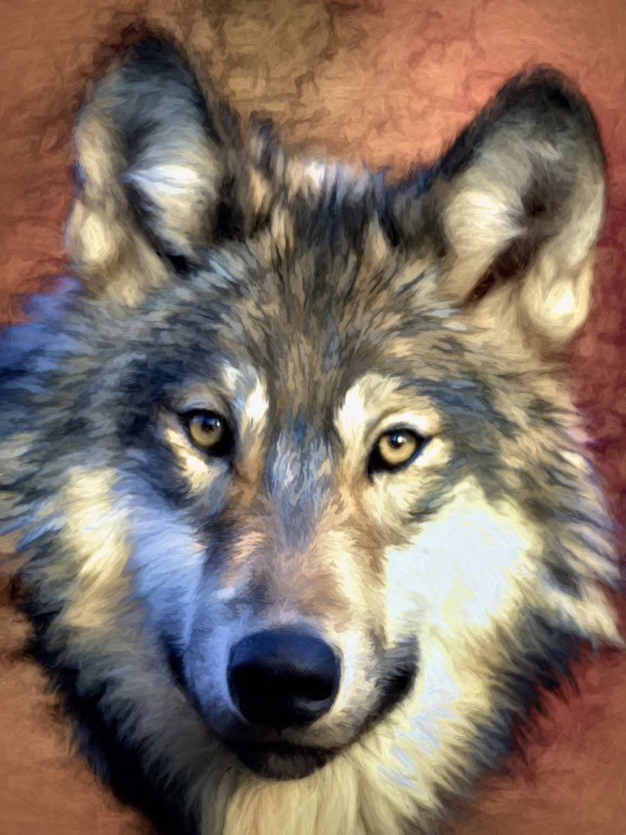 get-your-favorite-loup-5d-diy-kits-broderie-diamant-diamond-painting-px4795350-on-sale_3.jpg