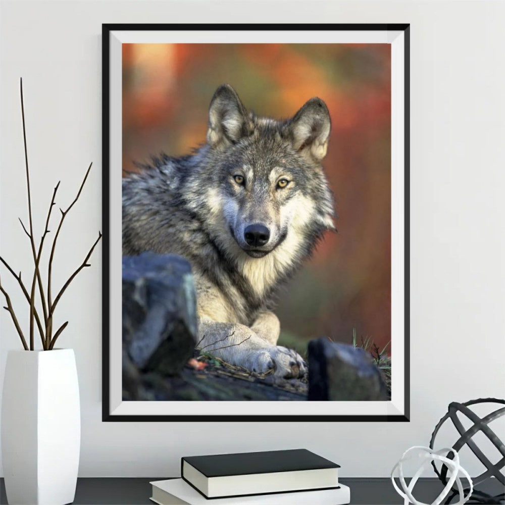 shop-for-pro-loup-5d-diy-kits-broderie-diamant-diamond-painting-px62898-online-sale_1.jpg