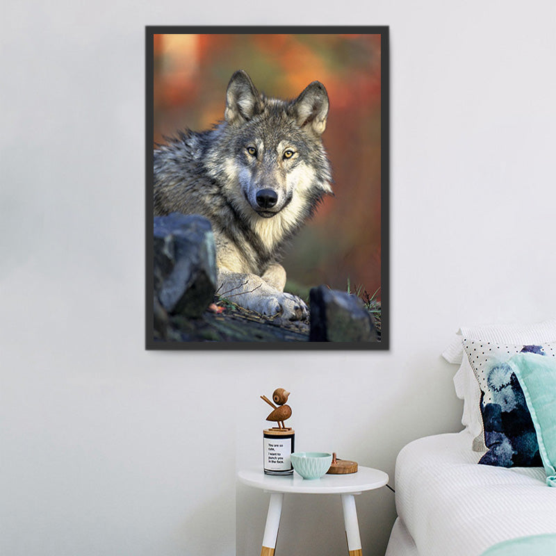shop-for-pro-loup-5d-diy-kits-broderie-diamant-diamond-painting-px62898-online-sale_2.jpg