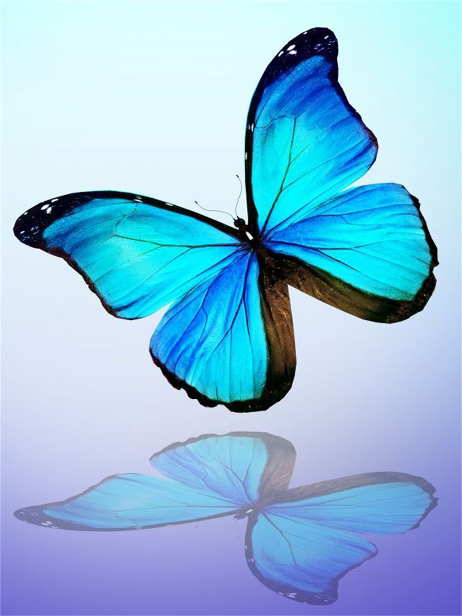 a-place-to-buy-papillon-5d-diy-kits-broderie-diamant-diamond-painting-it531315629-sale_0.jpg