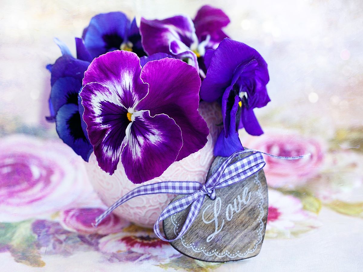 where-do-you-shop-fleur-5d-diy-kits-broderie-diamant-diamond-painting-de67131193-fashion_0.jpg