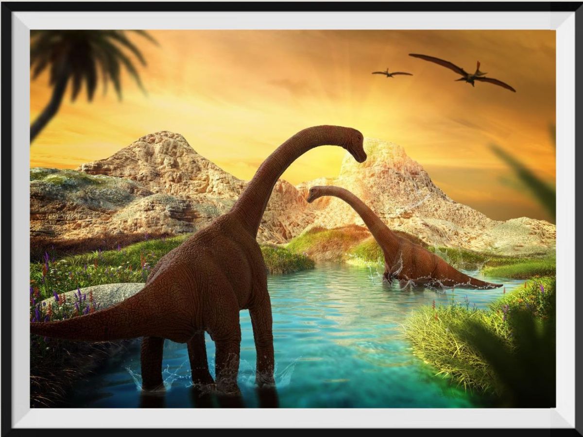 authentic-official-and-original-dinosaure-5d-diy-kits-broderie-diamant-diamond-painting-ss656407096-online-sale_0.jpg