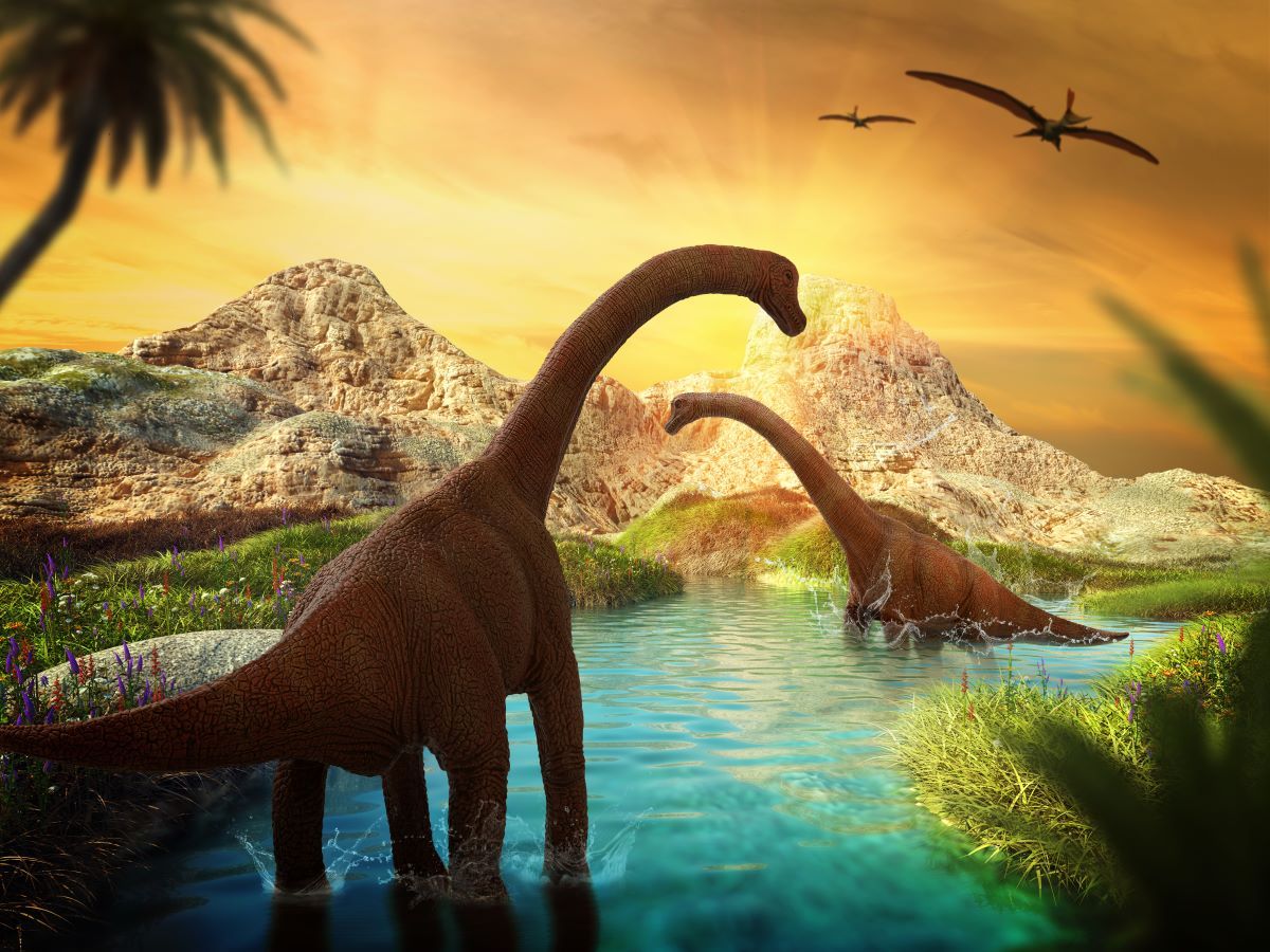 authentic-official-and-original-dinosaure-5d-diy-kits-broderie-diamant-diamond-painting-ss656407096-online-sale_3.jpg